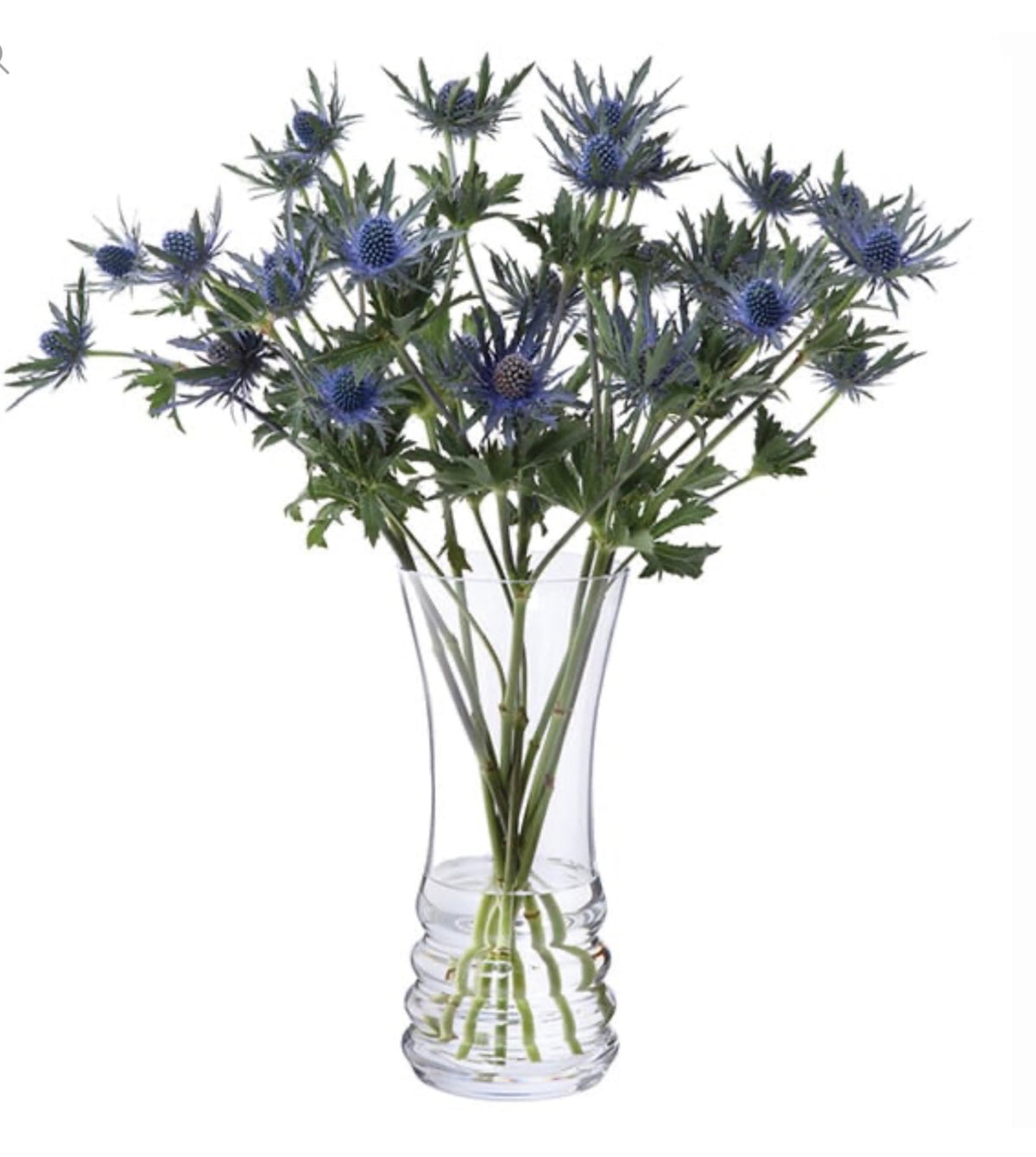 Wibble Bunch Vase