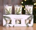 Set of 3 Pine Pattern Scented Candles 70G