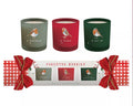 Set of 3 Scented Candles 50G with Soy Wax Blend Pine and Cypress Fragrance in Cracker Style Gift Box