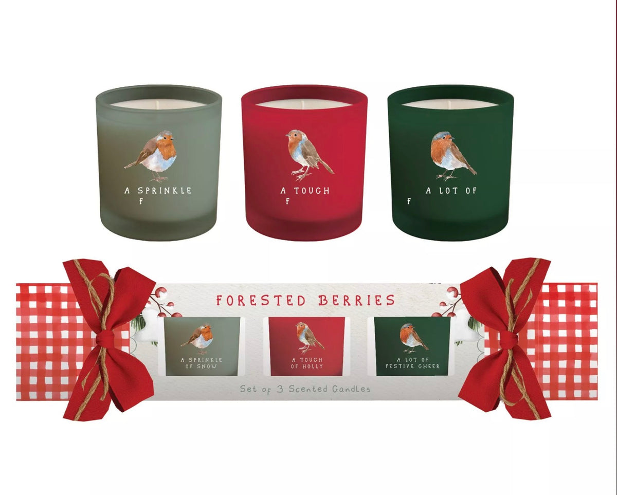 Set of 3 Scented Candles 50G with Soy Wax Blend Pine and Cypress Fragrance in Cracker Style Gift Box