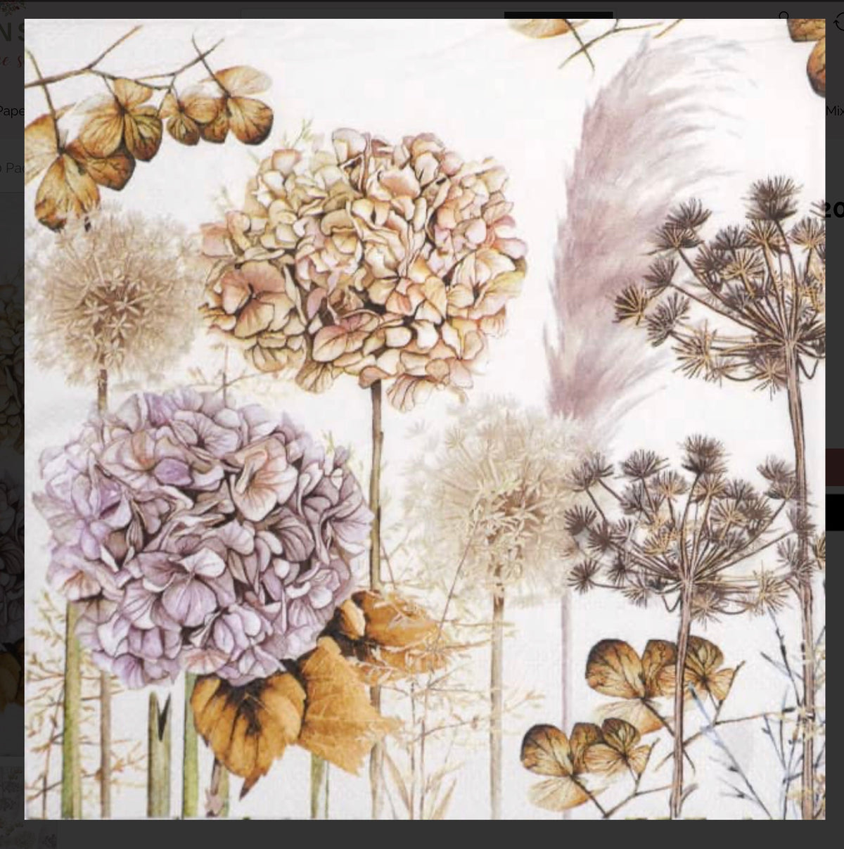 Ambiente Paper Napkins Dried Flowers