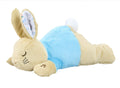 Lying Down Musical Peter Rabbit Soft Toy