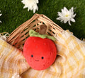 Widdop The Feel Good Club Plushie Strawberries