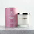Marmalade Pink Pepper And Plum Luxury Glass Candle 230g
