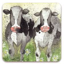 Alex Clark Curious Cows Coaster