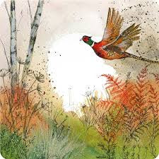 Alex Clark Pheasant and Bracken Coaster