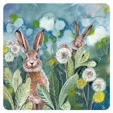 Alex Clark Ears Up Coaster