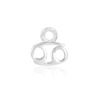 Permanent Jewellery Sterling Silver Horoscope Charm Cancer