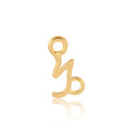 Permanent Jewellery 14ct Gold Vermeil Sterling Silver Horoscope Charm Capricorn