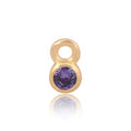 Permanent Jewellery 14ct Gold Vermeil Sterling Silver Birthstone Charm February