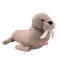 Softies Walter The Plush Brown Walrus Glow In The Dark Teeth 30cm