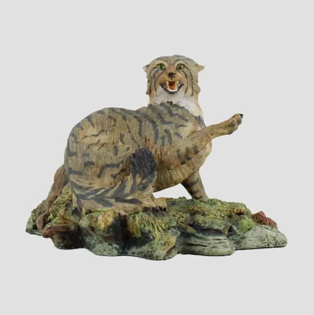 Border Fine Arts Langholm Design Scottish Wild Cat
