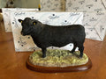 Border Fine Arts Studio Aberdeen Angus