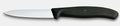 Victorinox Swiss Classic Paring Knife Straight Pointed Tip Black 8cm