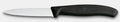 Victorinox Swiss Classic Paring Knife Serrated Edge Pointed Tip 8cm
