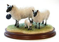 Border Fine Arts Beulah Ram Ewe and Lamb