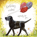 Alex Clark Card Sunshine Labrador Birthday