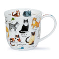 Dunoon Cumbrae Cat Breeds Fine Bone China Mug