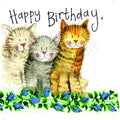 Alex Clark Three Amigos Greeting Card