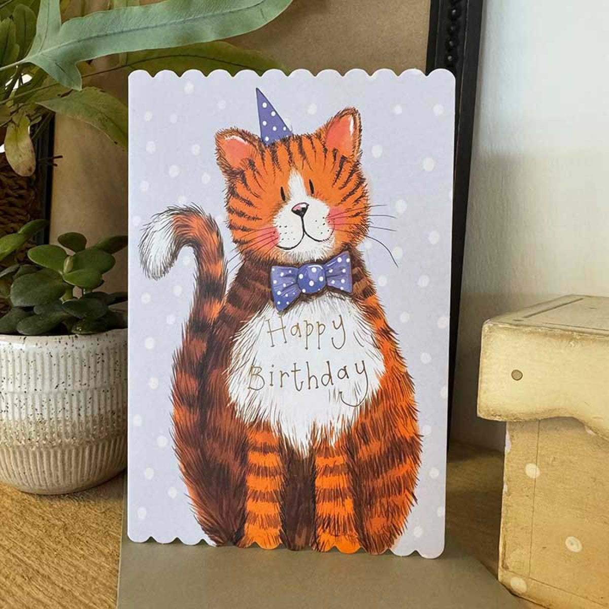 Alex Clark Cat And Bow Tie Birthday Greetings Card
