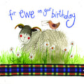 Alex Clark Card Birthday Sheep