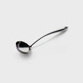 Taylors Eye Witness Sabatier Professional Mirror Polished Ladle