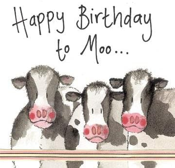 Alex Clark Card Cows