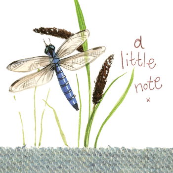 Alex Clark Card Little Note Dragonfly