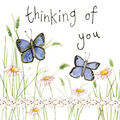 Alex Clark Card Butterflies
