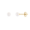 Freshwater Pearl Stud Earrings Gold