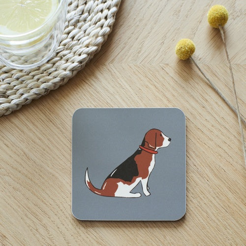 Sweet William Coaster Beagle