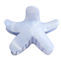 Pure Fashions Starfish Claw Clip Blue