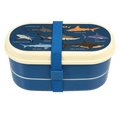 Rex London Shark Children’s Bento Box