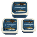 Rex London Shark Snack Boxes Set Of 3