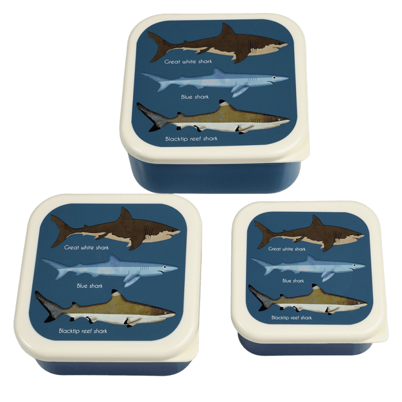 Rex London Shark Snack Boxes Set Of 3