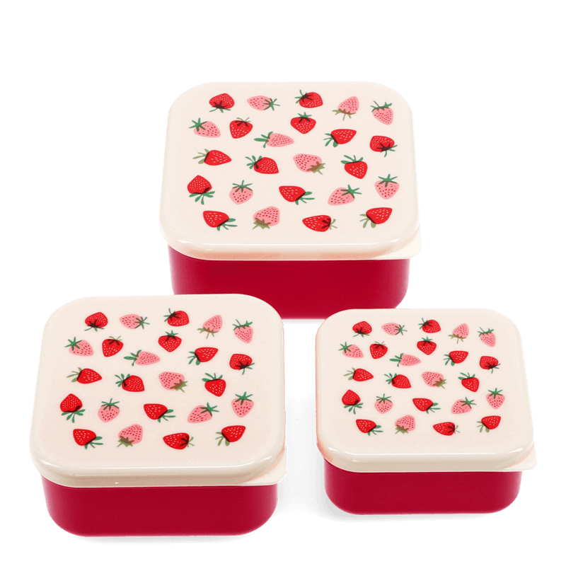 Rex Little Strawberry Snack Boxes Set of 3