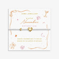 Joma Jewellery Birth Month A Little November Silver & Gold Plated Bracelet