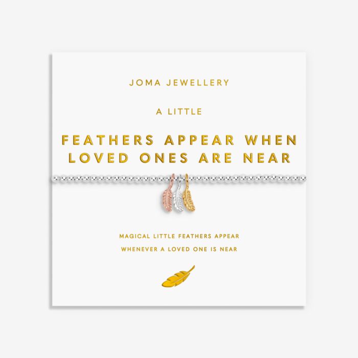 Joma Jewellery A Little Charmed Moments Feathers Appear When Loved Ones Are Near Silver, Gold & Rose Gold Plated Bracelet