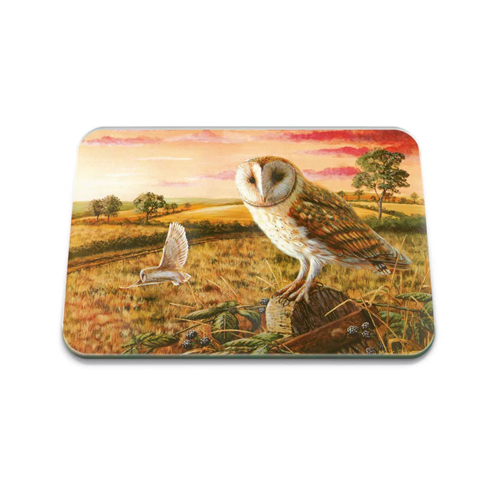 Stowgreen Tuftop Alison’s Animals Worktop Protector Owl