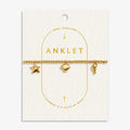 Joma Jewellery Anklet Shell Charms Gold Plated Anklet