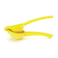 Taylors Eye Witness Lemon Press