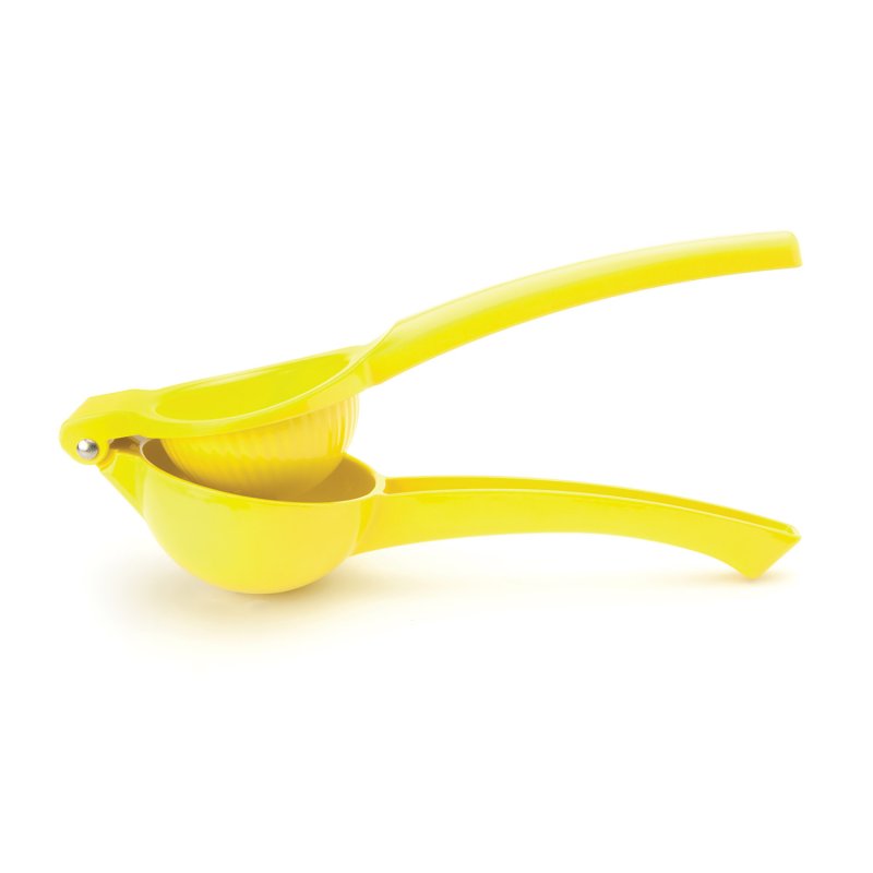 Taylors Eye Witness Lemon Press