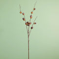 Acorn Spray Brown