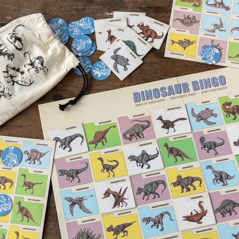Dinosaur Bingo Prehistoric Land