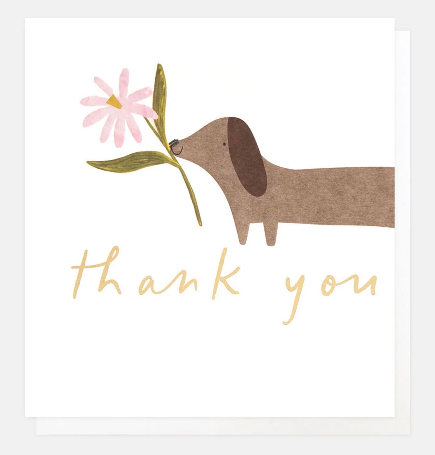 Sausage Dog & Flower Thank You Card