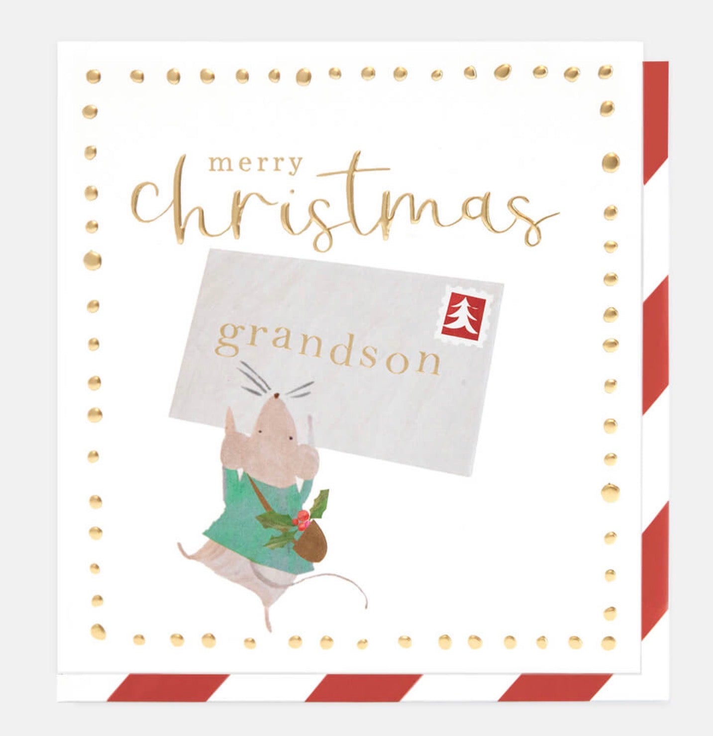 Caroline Gardner Grandson Christmas Card