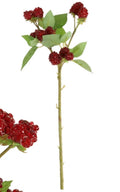 Fruit Stem Raspberry 64cm