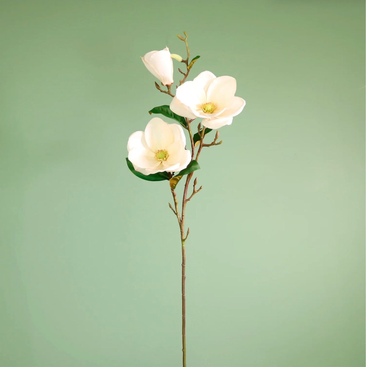 Textured Botanical Stem No.10 Cream