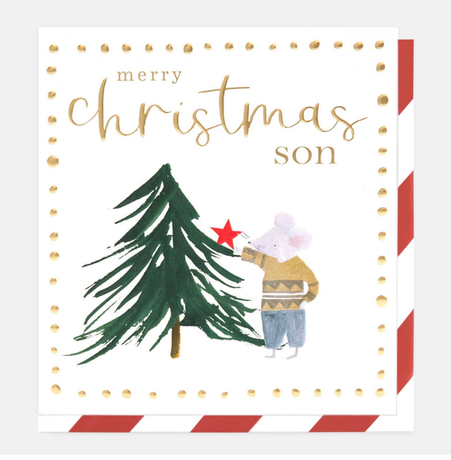 Caroline Gardner Son Christmas Card