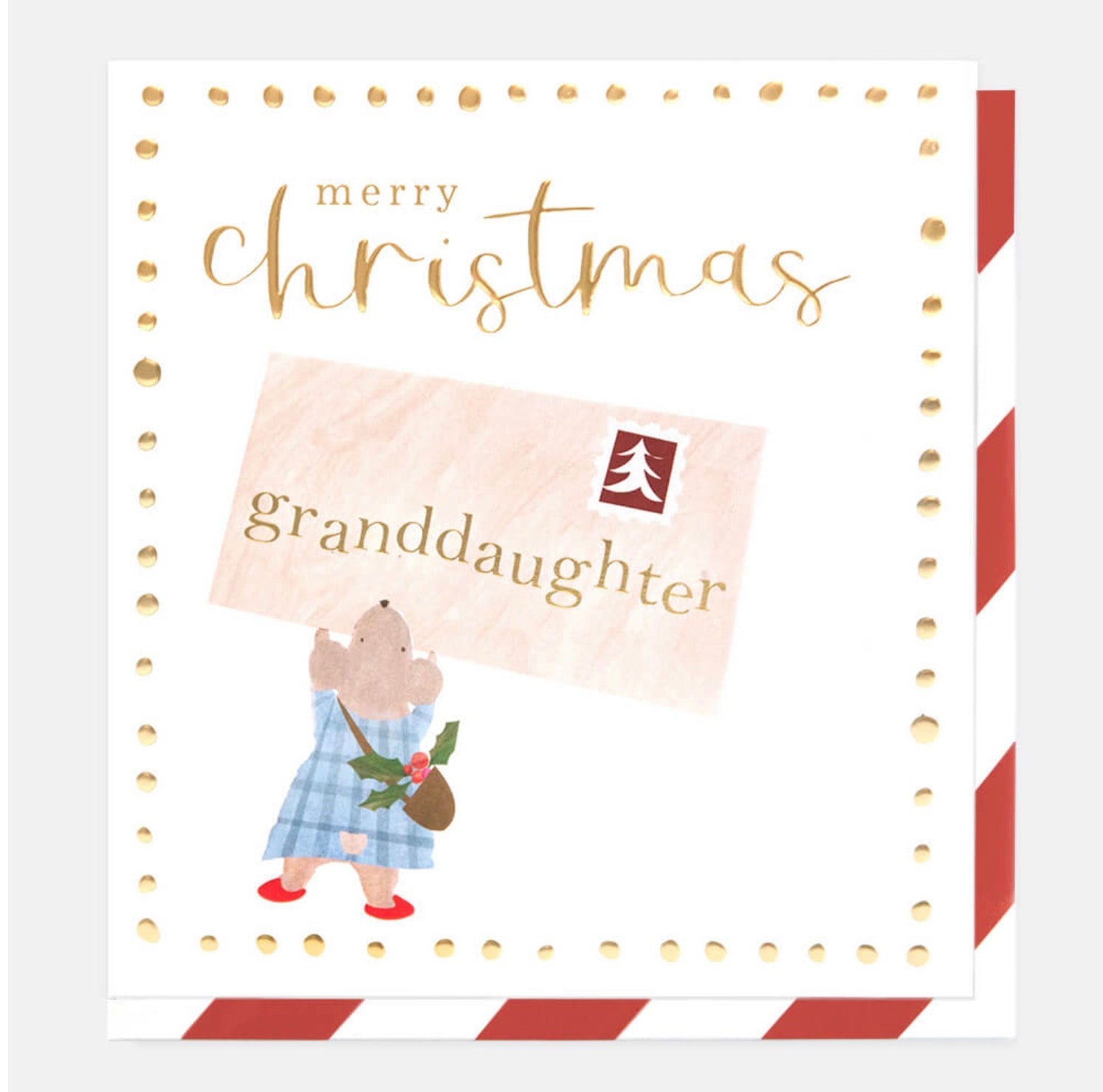 Caroline Gardner Granddaughter Christmas Card